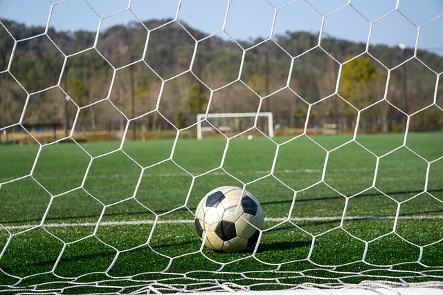 续努力的决 续努力的决