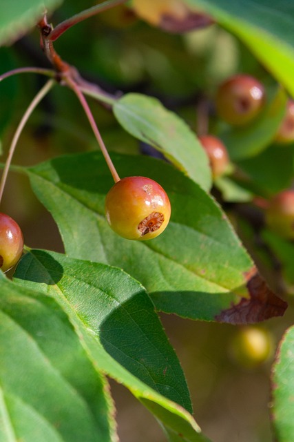 让球队在磨 让球队在磨