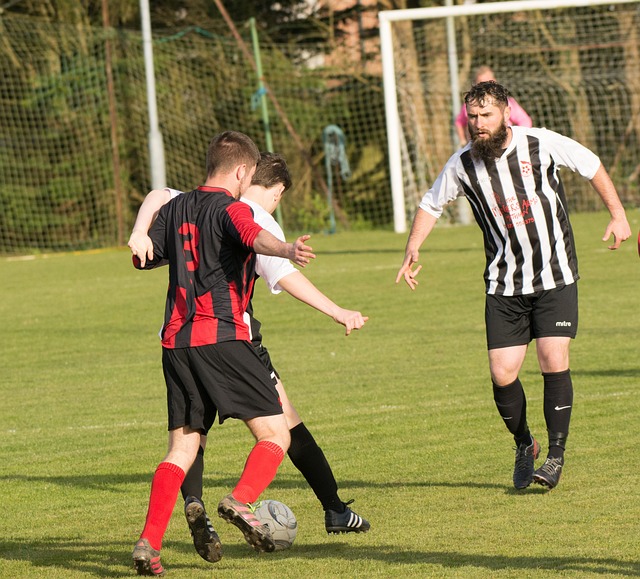 都是篮球魅 都是篮球魅