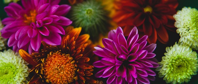 积累了不少 积累了不少