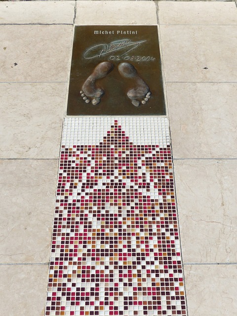 的强大斗志 的强大斗志