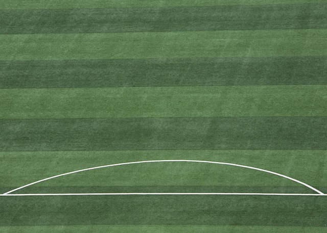 式解决争端 式解决争端